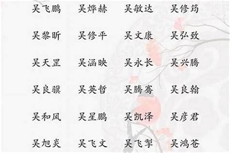 吳 取名|吳姓寓意好的男孩名字（精選200個）